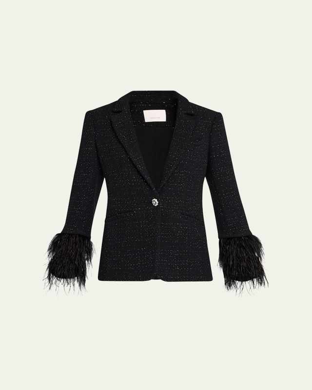 Karlie Feather-Trim Shimmer Boucle Blazer